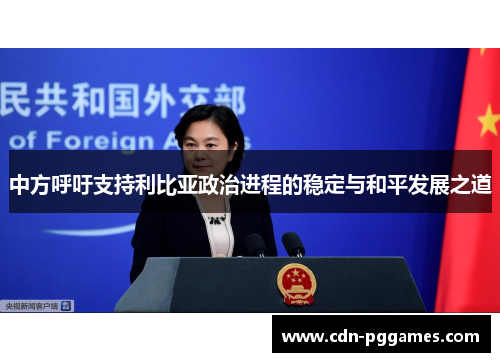 中方呼吁支持利比亚政治进程的稳定与和平发展之道