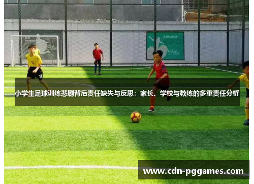 小学生足球训练悲剧背后责任缺失与反思：家长、学校与教练的多重责任分析