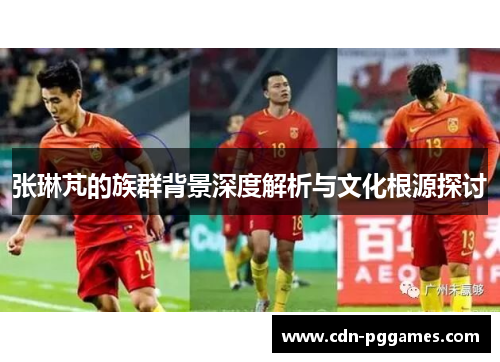 张琳芃的族群背景深度解析与文化根源探讨