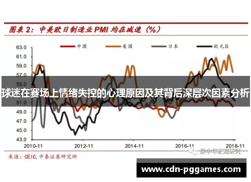 球迷在赛场上情绪失控的心理原因及其背后深层次因素分析