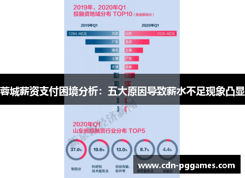蓉城薪资支付困境分析：五大原因导致薪水不足现象凸显
