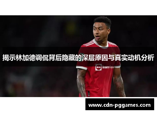 揭示林加德调侃背后隐藏的深层原因与真实动机分析